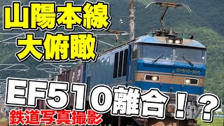 【鉄道写真】山陽本線でEF510離合！？山陽本線大俯瞰撮影！