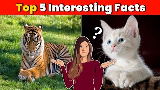 Top 5 Interesting Facts | Amazing Facts | Facts About Elephant | Interesting Facts| Facts | #shorts