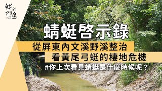 【動物生態】蜻蜓啟示錄｜從屏東內文溪野溪整治看黃尾弓蜓的棲地危機 (我們的島 1167集 2022-08-15)