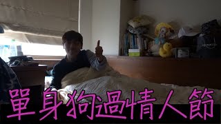 單身狗過情人節的最好方式【韓毛】