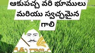 ఆకుపచ్చ వరి భూములు మరియు స్వచ్ఛమైన గాలి