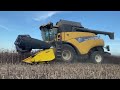 ŽnĚ 2023 sklizeň máku new holland cr980