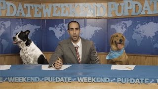 Weekend Pupdate Episode 1