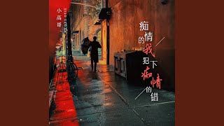 痴情的我犯下痴情的错 (DJ默涵版)