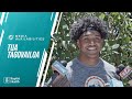 Tua Tagovailoa meets with the media | Miami Dolphins