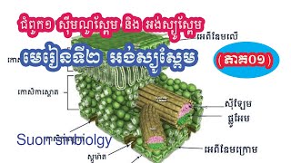 ជីវវិទ្យាថ្នាក់ទី១២||ជំពូក១ ,មេរៀនទី១ អង់ស្យូស្ពែម ( ភាគ ០១ )||Khmer Biology Grade12 For 2020-2021