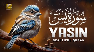 Blissful Recitation of Surah Yasin (Yaseen) سورة يس to Stir Emotions | Zikrullah TV