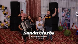 Sandu Ciorba - Am atins cerul cu mana Live 2023 Nunta Claudiu\u0026Daniela