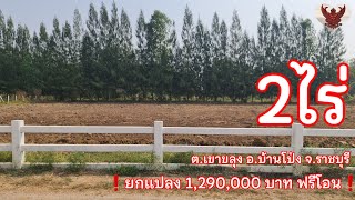 ที่ดิน เนื้อที่ 2ไร่ บรรยากาศดี เงียบสงบ อยู่ในแหล่งชุมชน โฉนดครุฑแดง #ที่ดินราชบุรี #ที่ดินบ้านโป่ง