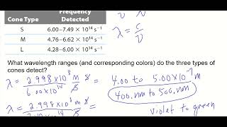 #50 - What wavelength ranges (and corresponding colors) do the three types of cones detect?