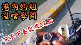 港內釣組 沒啥學問 沉不下去就夾咬鉛