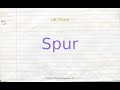 How to pronounce spur