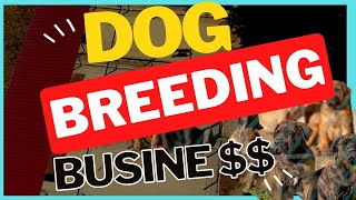 5 Secrets to Successful Dog Breeding Business: 5 Must-Follow Tips for Success