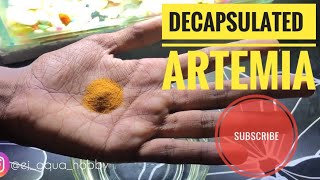 Decapsulated Artemia for fish fry’s |Betta fry’s,Flowerhorn Fry’s ,Guppy fry’s |Tamil