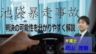 【弁護士解説】池袋暴走事故。気になる判決の可能性について解説。