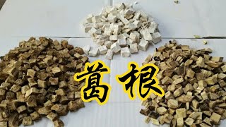 葛根分为柴葛根与粉葛根！