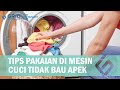 Rahasia Tukang Laundry, Ternyata Begini Cara Agar Pakaian di Mesin Cuci Tidak Bau Apek