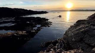 Coastal Calm: Incoming Tide at Falmouth