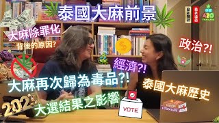 🍀泰國大麻前景🍀大麻再次成為毒品?!☘️大麻除罪化原因🌱了解大麻歷史/政治/經濟🌿(中字) #thailand #cannabis #泰國 #大麻 #泰國大麻合法化 #泰國420 #泰國大麻前景