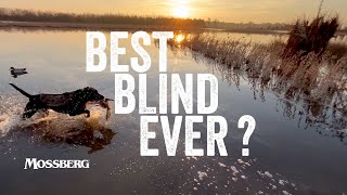 Best Duck Blind Ever? | Duck Hunting