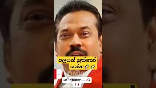 මදැයි හෙලෝ කියන්න ගියා 🤕🤕පලයන් හුත්තෝ යන්න🤣🤣🤣