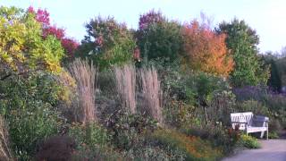 Arboretum Ellerhoop im Herbst