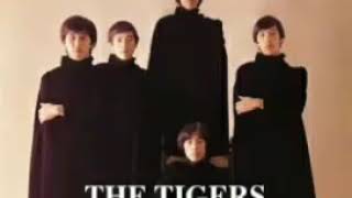 Download Lagu The Tigers Smile For Me... MP3 Gratis