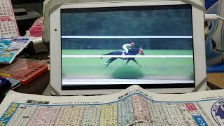 (競馬)第44回エリザベス女王杯(GⅠ)実況ダイジェスト