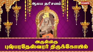 அருள்மிகு புஷ்பரதேஸ்வரர் ஆலயம் | Aalaya Dharisanam | ஆலய தரிசனம் | Vasanth TV