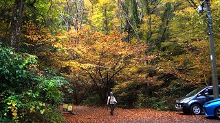 第193-1【女装　コスプレ】城山越えて相模湖へ・日影から御料局三角点ベンチ【男の娘　バリエーションルート前半】