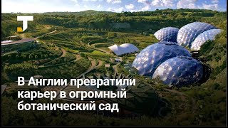 Заброшенный карьер в Англии превратили в ботанический сад