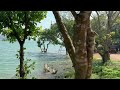 lakeview point thenmala dam backwater kollam kerala shendurney wildlife sanctuary