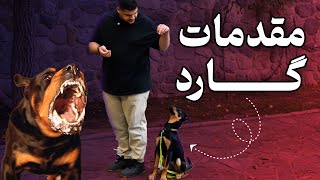 آموزش سگ روتوایلر | مراحل اولیه گارد کردن سگ 😱✅