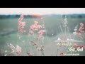 Nhạc Trữ Tình Không Lời Hay Nhất - Hòa Tấu Đàn Tranh - Liên Khúc Nhạc Không Lời Nhẹ Nhàng Thư Giãn