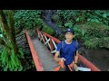 【旅遊紀事】漫步 馬武督探索森林 全台灣最老的楊梅神木 hiking in the discovery forest of ma wu du hsinchu county taiwan