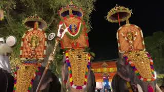 peruvanam arattupuzha pooram 2022 - chathakudam thiruvathirapurappadu