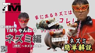 【ネズミ編】2限目：ネズミの生態