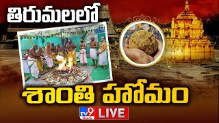 తిరుమలలో శాంతి హోమం LIVE | Maha Shanthi Yagam in Tirumala | Tirupati laddu controversy - TV9