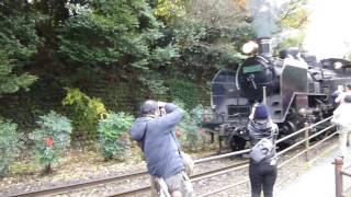 大井川鉄道C11-190号機川根温泉笹間渡駅（steam locomotiveC11)