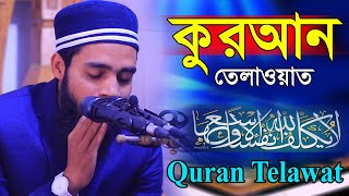 কুরআন তেলাওয়াত || ক্বারী এনামুল হাসান সাদী || Beautiful Quran Recitation || Qari Anamul Hasan Sadi