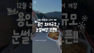 용인 최대규모 눈썰매장 오픈!! #용인가볼만한곳 #용인데이트