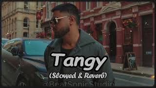 TANGY (SLOWED X REVERB) JASSA DHILLION | GURLEZ AKHTAR | LATEST PUNJABI LOFI SONG