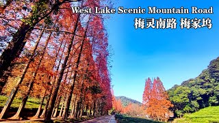 冬季西湖景区跑山路 满道红叶水杉 家家制腊味 梅灵南路 梅家坞 | Red Metasequoia, Home-made Meat, Mountain Road, Hangzhou, Winter