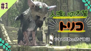 #1【人喰いの大鷲トリコ】出会ったのは、優しい怪物だった。【the last guardian】女性実況プレイ動画