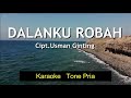 DALANKU ROBAH | Tone Pria |KARAOKE TONE PRIA