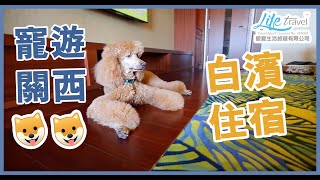 【🐶✈️ LifeTravel寵遊關西🇯🇵白濱🌸住宿①】白濱川久酒店(Hotel Kawakyu) | | 關西寵物友善酒店| 和歌山寵物友善酒店