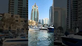 دبي المارينا  #dubai #uae #video #viral #الامارات #دبي #تصويري #فيديو #music #foryou