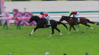 【現地】2024/4/6 大阪ハンブルクカップ レッドバリエンテ 川田将雅【阪神競馬場】