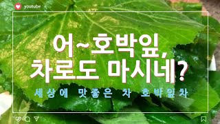 호박잎차만들기/Pumpkin leaves tea/세상에 맛좋은차/호박잎효능/몸에 아주 좋은 호박잎을 이제 차로 마신다/다이어트차/골다공증예방차/항암차