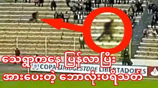 သေရွာပြန် ဘောလုံးပရိသတ် (comeback Football fan)